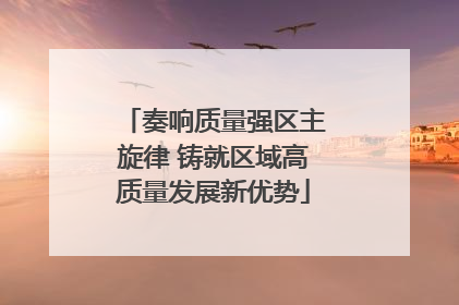 奏响质量强区主旋律 铸就区域高质量发展新优势